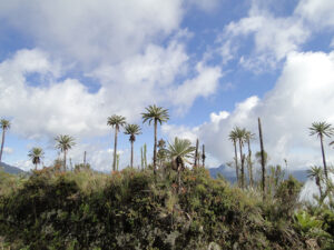 Cielo azul.